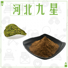 食品级绿茶粉厂家 绿茶粉末烘焙饮品原料添加剂