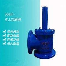 SSDF大口径泵前止回阀法兰角式不锈钢水上底阀水力控制