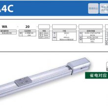 IAI-RCAϵ 