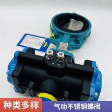D671X-16Լʽī304ֿжϷˮDN80 100150