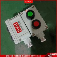 IP66ڹʽ Ͻͣť亽