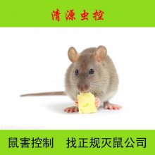󷽷䷽ҪЧ µ Դ