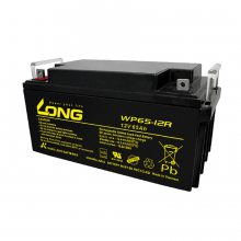 ¡ WPL100-12RN ̨LONG 12V100AH UPSֱ