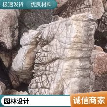 庭院大型奇石 轩阳 异形龟纹石 公园装饰景观石 任意挑选