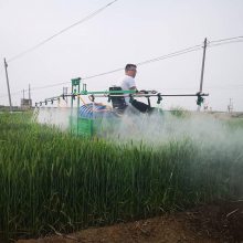 志成200L药箱四轮打药机 小型自走式打药机 170汽油动力打药车