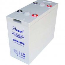 BUDDY GFM-1000 ֱ2V1000AH  UPSӦ