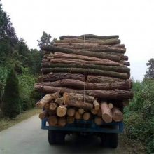 卡博恩 四不像随车挖掘机 大马力挖机 农用运输车