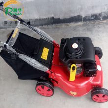 ԰̵شݻ Яʽݻ ·Ӳݳ