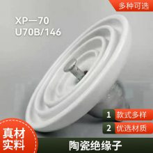 110KV电站用ZSW-126/8 ZSW-110/8耐污型户外瓷支柱绝缘子