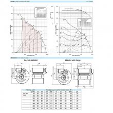 DDMP 12/12 M6A4 DA8 RD+FL NICOTRAƴ ɢȷ