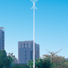 成都新津LED太阳能路灯厂-