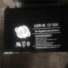 ͨ6-GFM-38 12v38AHͺż