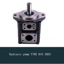 T7BS B10 2R02 hydraulic pumpҺѹ