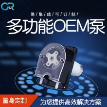ҵ OEM䶯÷Ӧ׺ WP300  1100ml/min
