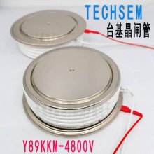 TECHSEM̨ɿعY89KKM KK3000A4000V 4500V4800V