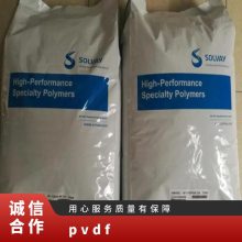 PVDF 美国苏威 TA-BS110/0130 耐磨 抗紫外线 水处理膜 微孔滤膜用