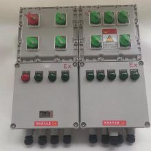 防爆IP54-IP65配电箱 照明配电箱IIB-IIC