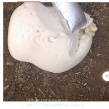 �ͻ����� �۰�����˹��׼� ά���� �������� ֤����ȫ