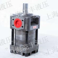 中国澳门耐久齿轮泵性价比 上海市潞丰液压技术供应