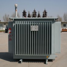 ȫͭ10KV s11-100kvaѹ 6KV 10KV ȫܷԵ ˫