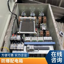 电机水泵恒压供水PLC控制柜 防爆变频柜配电箱风机成套变频自控柜
