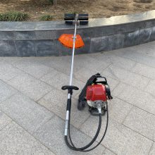 ĳ̱ʽݻ ɽشݳݻ ԰ֹ԰ ͺĵЧʸ