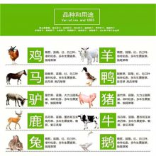 遂宁水土保持草种零售店