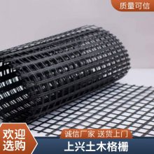 河北上兴强度好单向土工格栅 路面抗裂用加厚材质坚固抗用