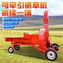 牛羊饲料铡草揉丝机 低喷草料粉碎机 干湿两用10吨打草机