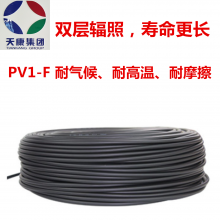 ʡйӦPV1-F 1*4  쿵̫ܵذר