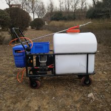 12V60A电动打药机 轻便手推式大棚打药机 畜牧养殖场消毒机浩阳直销