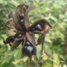 ����ĵ�������綩���绰