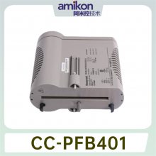 CC-PDIS01 SOE 24Vģ 