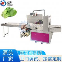 ȫԶʽװе豸߲˴ֶ֧