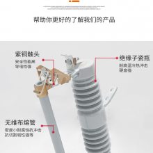 RW12-12/100A户外高压跌落式熔断器 10kV陶瓷式200A令克保险丝