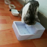 狗狗喝水器宠物饮水机小猫咪自动循环喂食器水碗智能活氧喂水用品