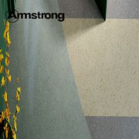 Armstrongͬ͸ĵذ塾
