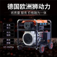 BT-190TSIͷ纸