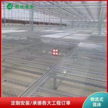 Զ紲 ְ紲 쳵Զ