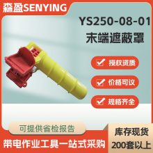 ն˾ԵձYS250-08-01ĩڱֵĩ˱ֶͷ