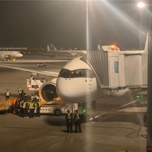 航班空运急件空运-急件-上海浦东机场货运部(查看)