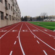 小学操场透气型塑胶跑道建设 现浇EPDM颗粒跑道面层 奥美佳体育
