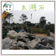 宁远太湖石假山，太湖石原厂地，桂阳太湖石批发，假山石造景出售