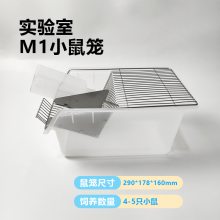 M1鼠笼小鼠饲养304不锈钢网盖pp材质pc材质饮水壶