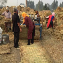 麦草蒲草编织机路面保温草被机自动锁边电动草帘机植被绿化苫子机