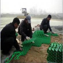 Ӧ㶫ɽ԰ֲݸ,HDPEֲݸ췢