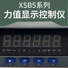 XSB5-CHK1R2S2V0ؿ ⹩10V