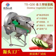 小型台式酒店葱丝机芹菜梗切丝机大葱切丝切葱丝机 厨房设备TS-Q30 切菜机