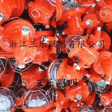 DGC18-22/127L（A）铸钢圆形采掘工作面支架灯 矿用隔爆型LED支架灯