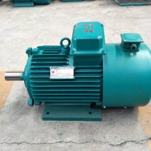 YZR250M1电机 卧式电动机 YZR三相异步电动机37KW